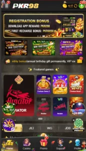 PKR98 Interface